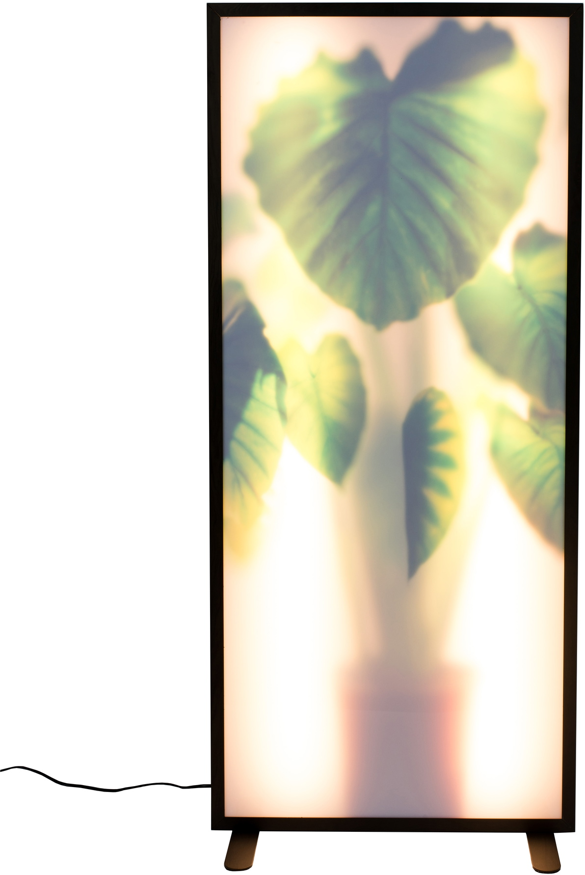 Gulvlampe Zuiver Grow  –  stenlysgrå akrylglas LED-dæmpbar H112ÉÂB54ÉÂD8 cm